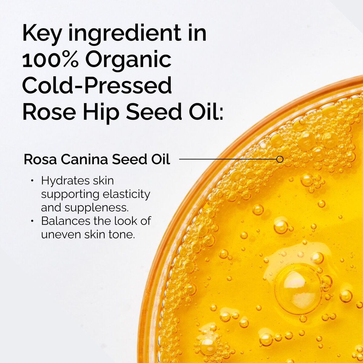 100% Organic Cold-Pressed Rose Hip Seed Oil - Bright Scent
