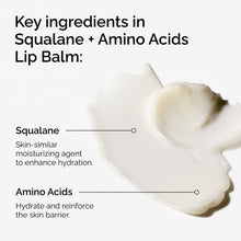 Squalane + Amino Acids Lip Balm - Everyday Pop