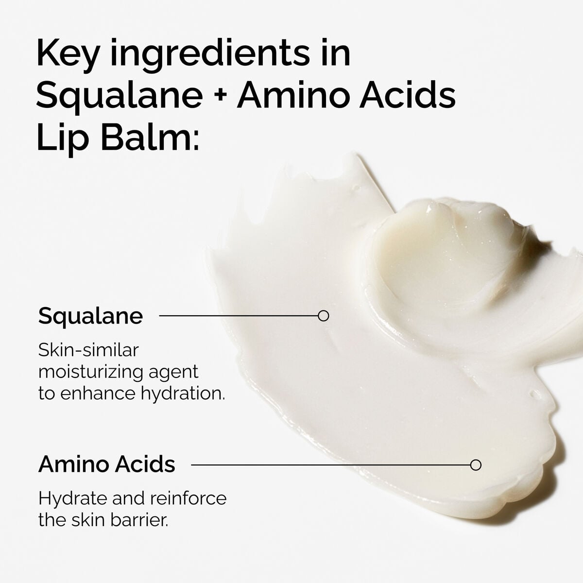 Squalane + Amino Acids Lip Balm - Classic Wear