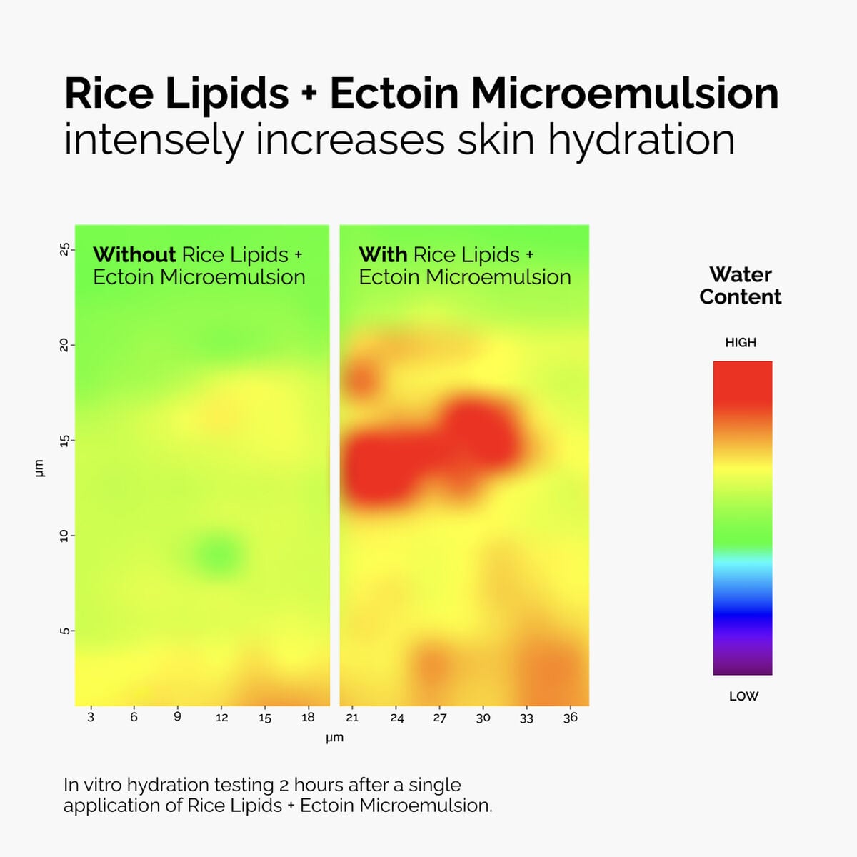 Rice Lipids + Ectoin Microemulsion - Fresh Pair